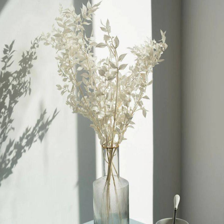 White Ruscus Dried Flowers Leaves for Vase | Natural Dried Greenery