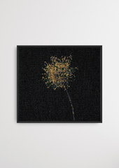 Wildflower