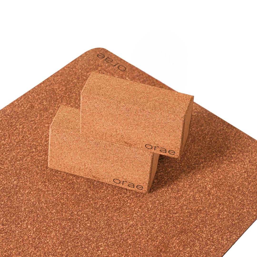 Yoga Starter Kit - Grippiest Mat Ever with 2 Support Blocks | Free Carry Bag Included