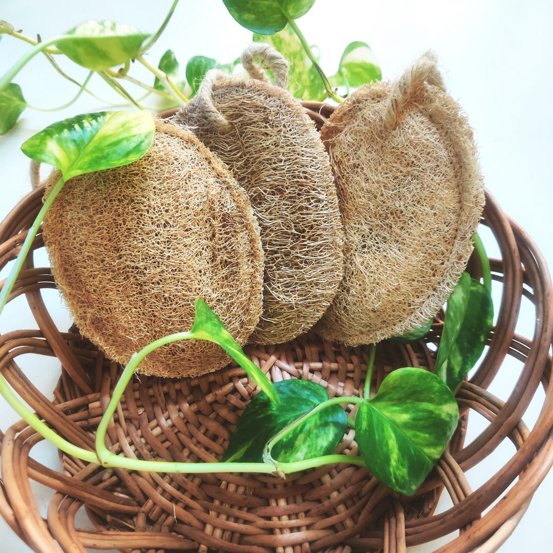Greenfootprint Natural Plant based loofah