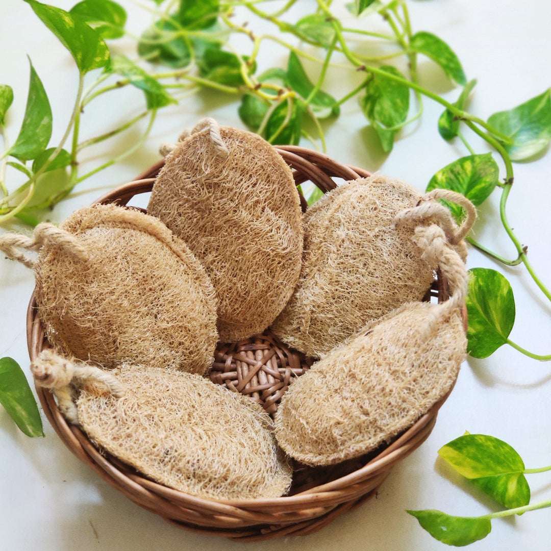 Greenfootprint Natural Plant based loofah