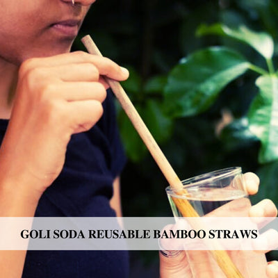 Reusable Bamboo Straws With Easy Carry Travel Pouch
