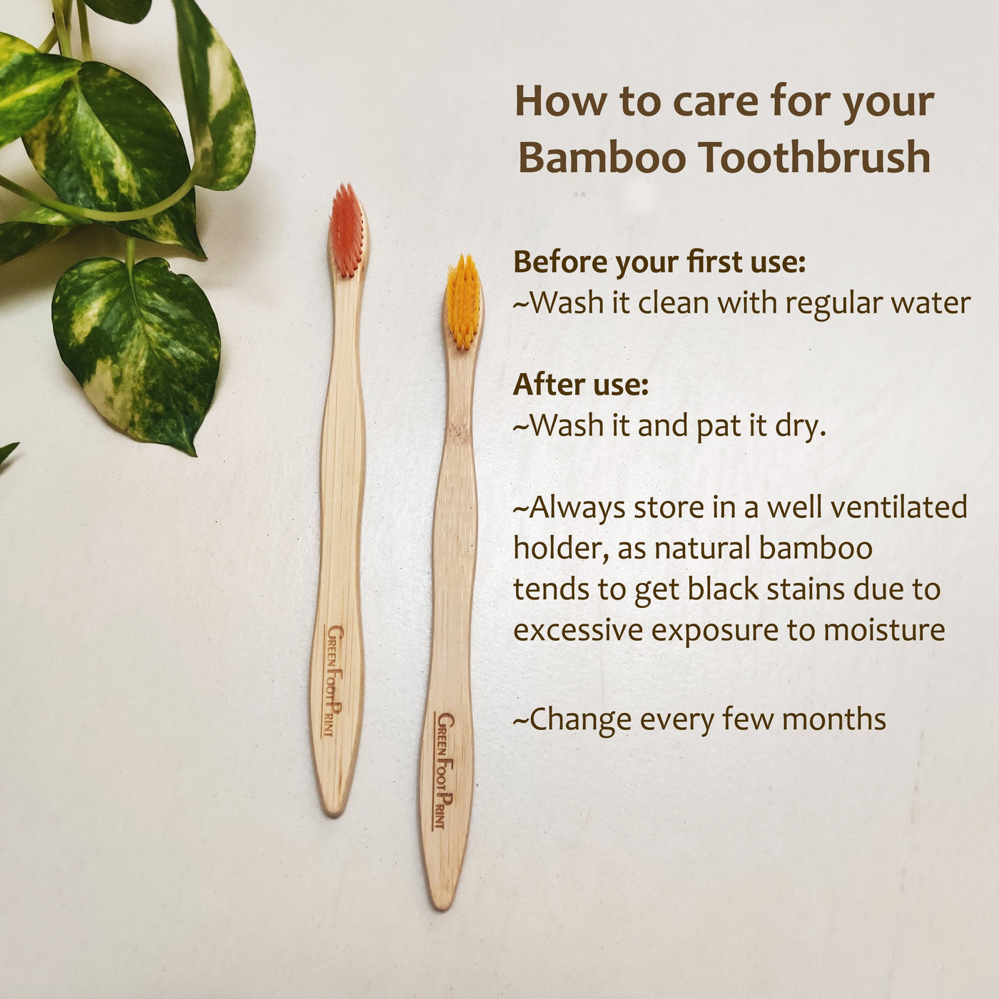 2 Bamboo Toothbrush & Bamboo Earbuds Combo - Suspire