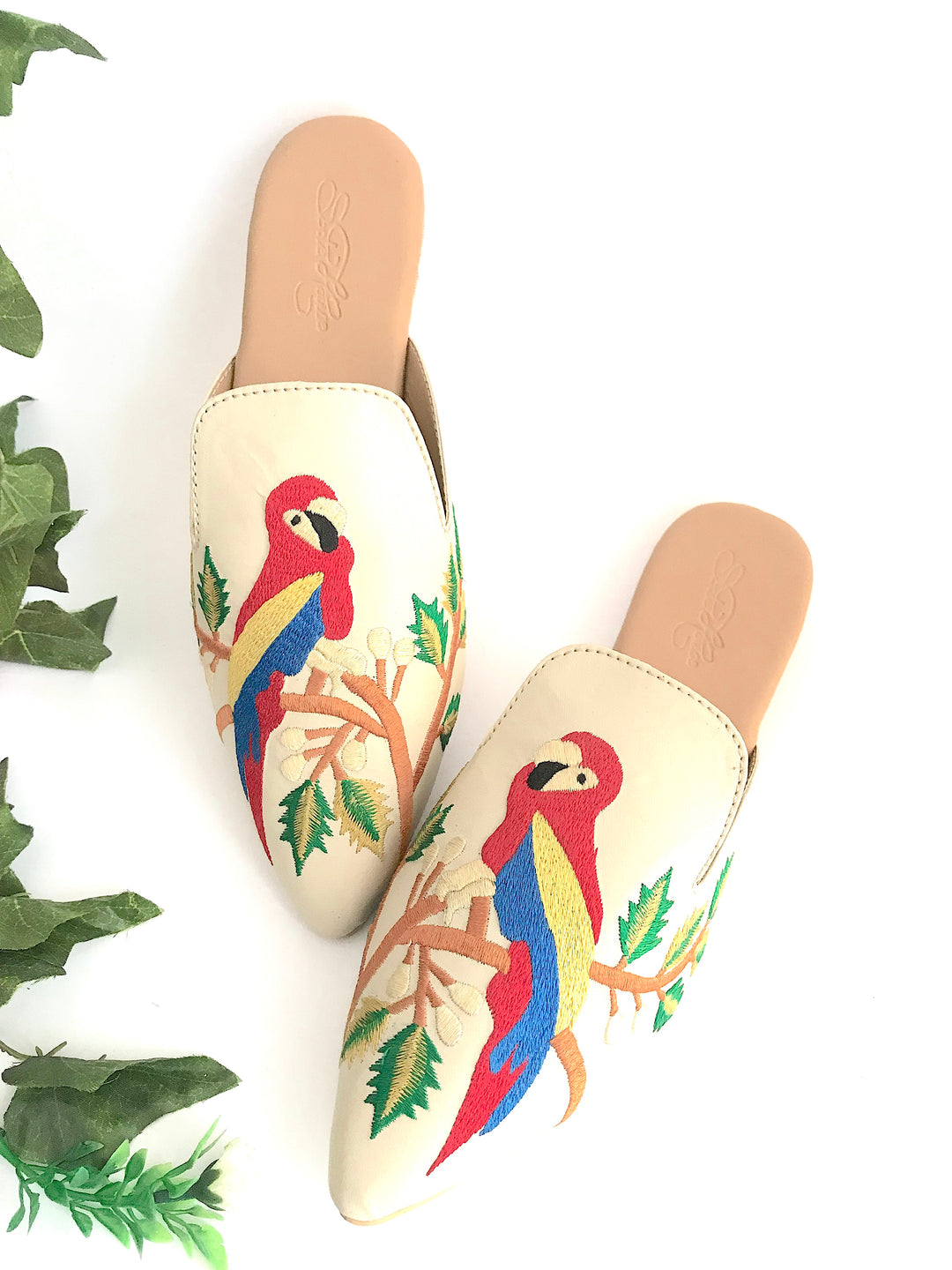 Parakeet Mules