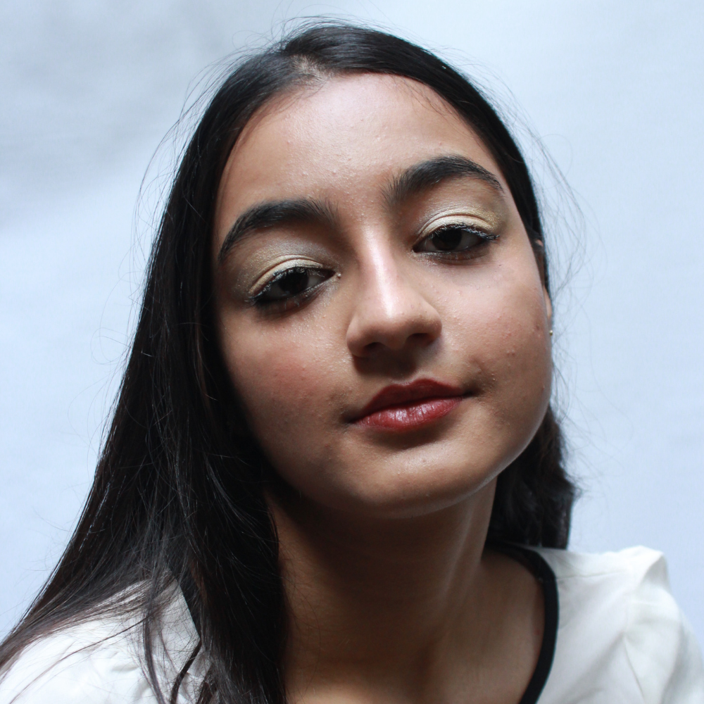 Disguise Cosmetics Frosted Cream Cashew 201 - Eyeshadow, No Talc | Intense Color | With Soothing Plant Oils | Ultra-Smooth | 4.5 gm