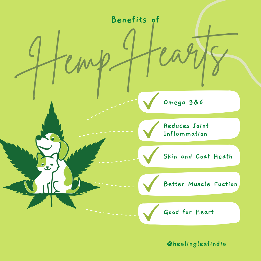 Healing Leaf Hemp hearts - Pet (100gms)