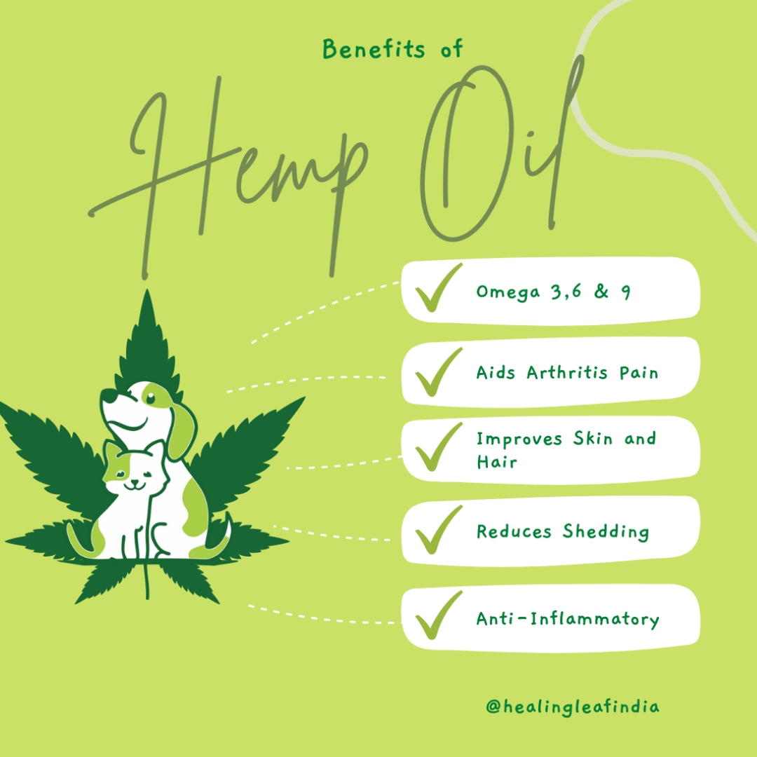 Healing Leaf Hemp oil - Pet
