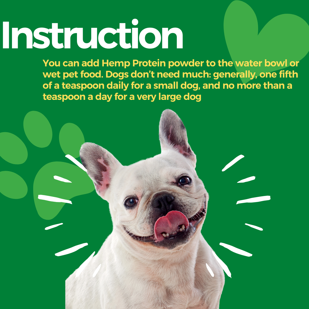 Healing Leaf Hemp Protein powder - Pet (100gms)