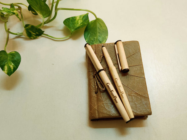 Greenfootprint Handcrafted Bamboo Pens | Reusable Pack of 2
