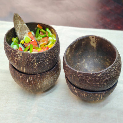 Coconut Shell Bowls