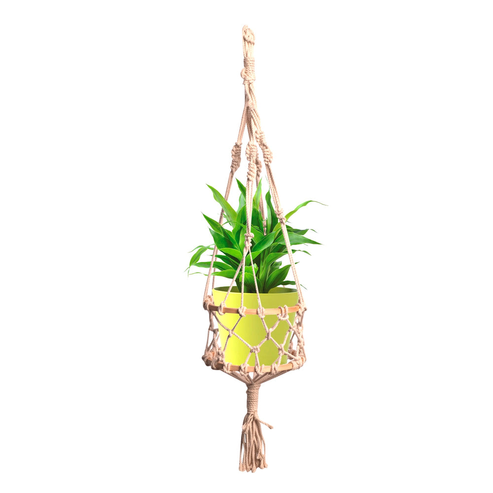 Bamboology Trends Upcycled Handmade Planter In Cotton Macrame