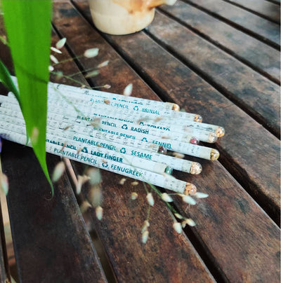 Recycled News paper Plantable Seed COLOUR Pencils