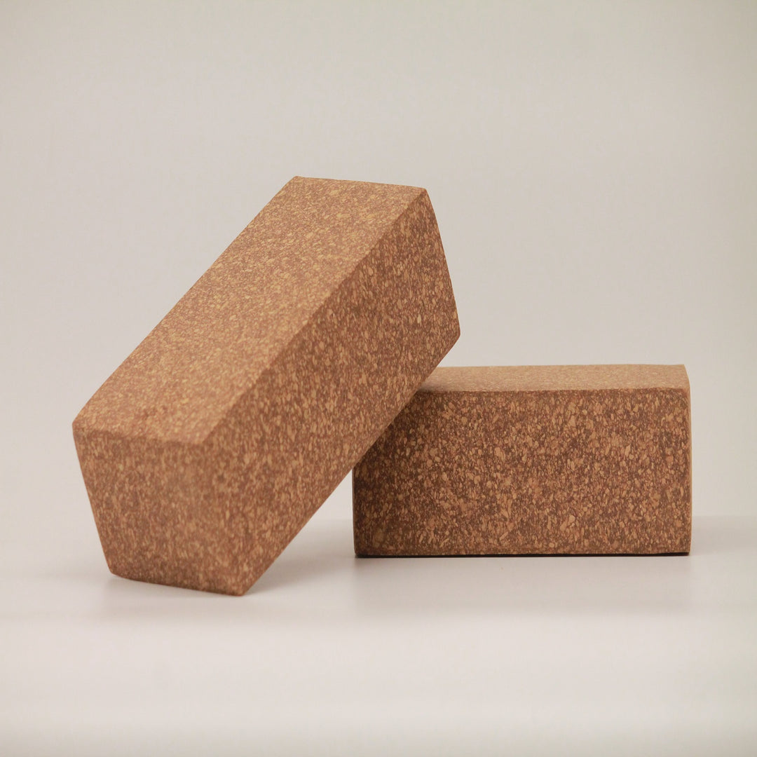 Dvaar Sthairya The Cork Yoga Brick Set Of 2
