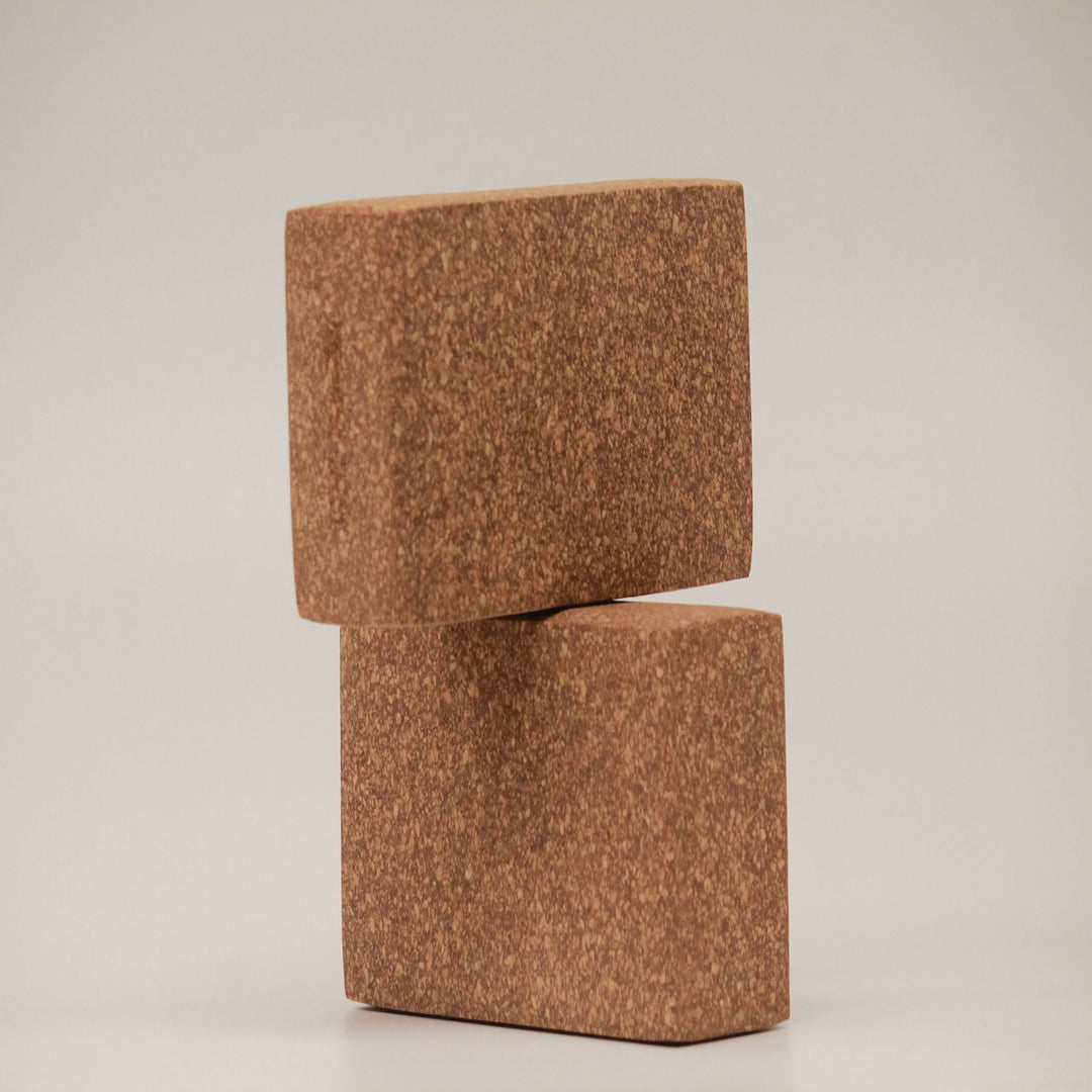 Dvaar Sthairya The Cork Yoga Brick Set Of 2