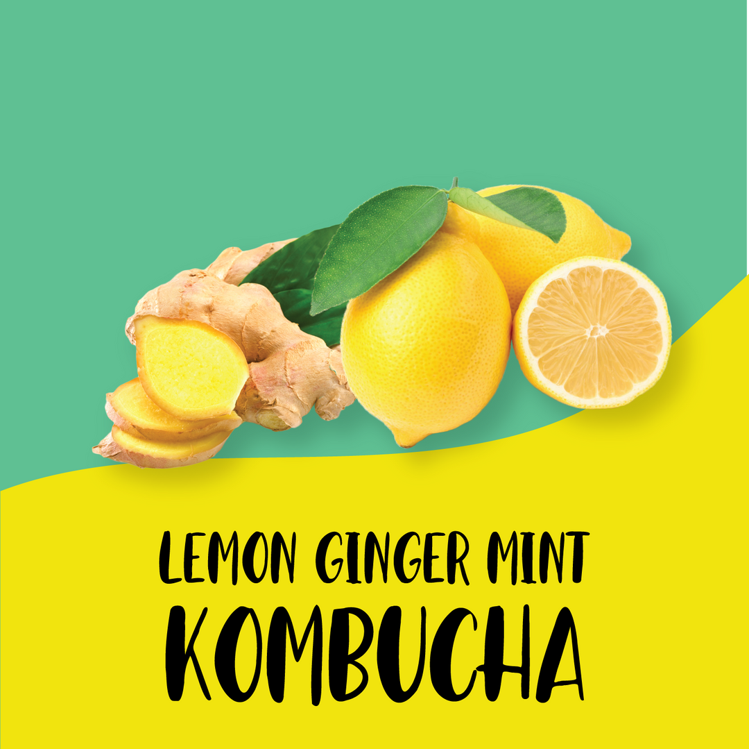 Lemon Ginger Kombucha (Pack of 4)