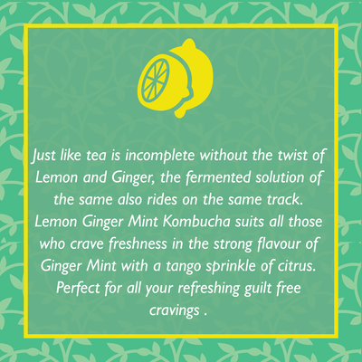 Lemon Ginger Kombucha (Pack of 4)
