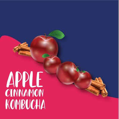 Apple Cinnamon Kombucha (Pack of 4)