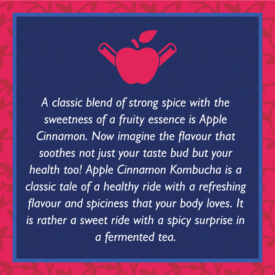 Apple Cinnamon Kombucha (Pack of 4)