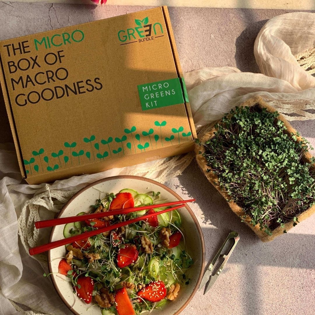 Clan Earth Microgreen Kit