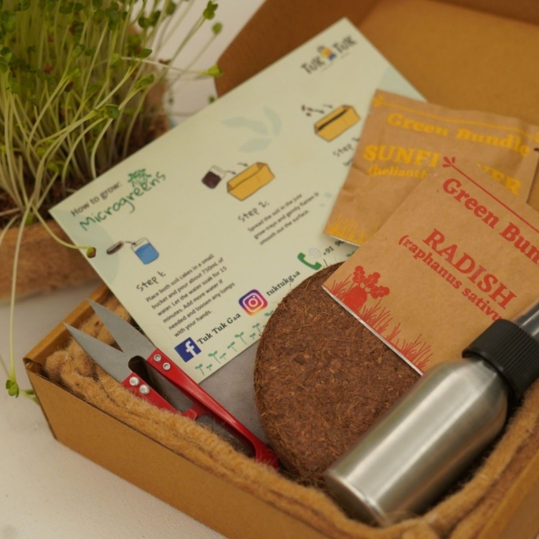 Clan Earth Microgreen Kit
