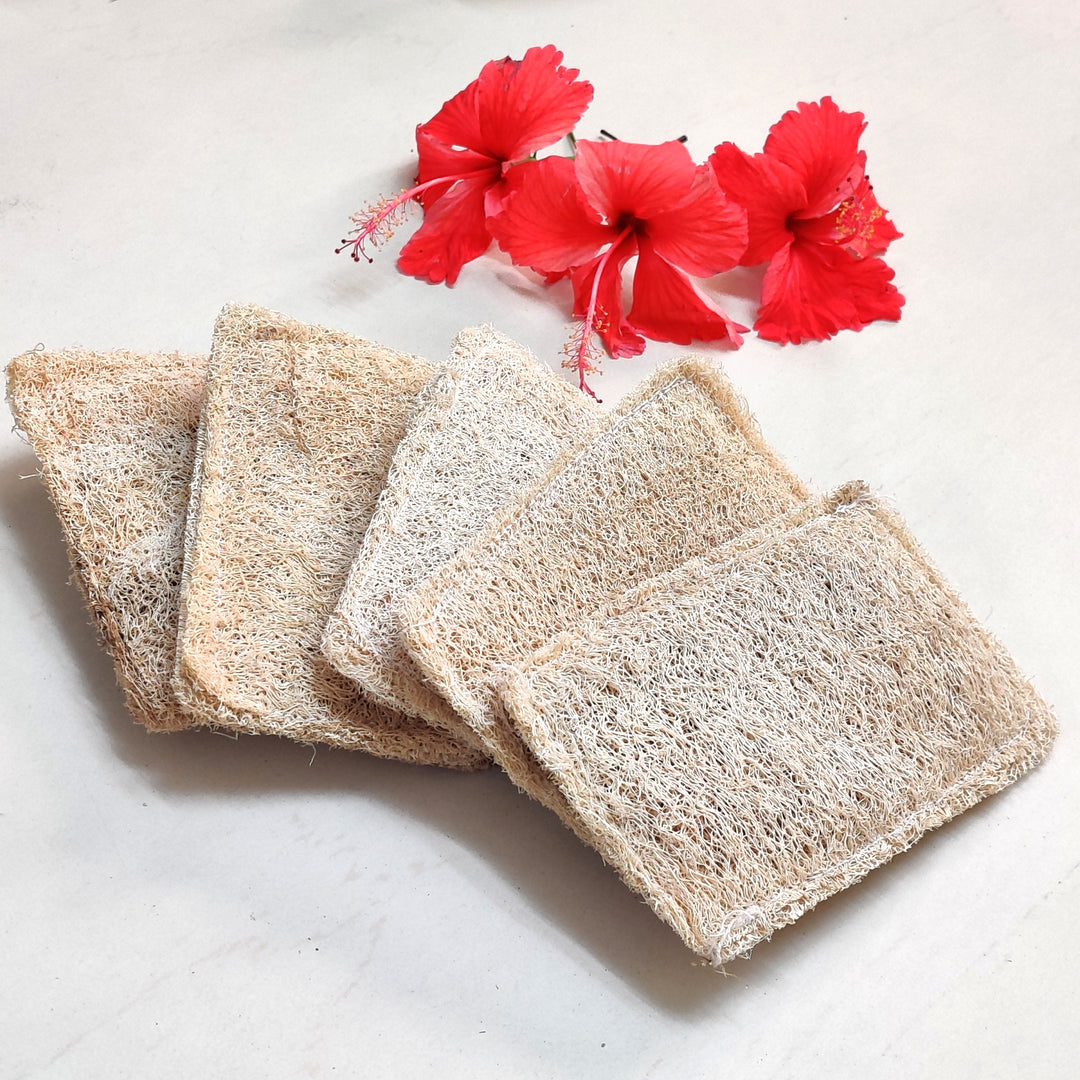 Greenfootprint Natural Loofah Dish scrub pads | Pack of 4