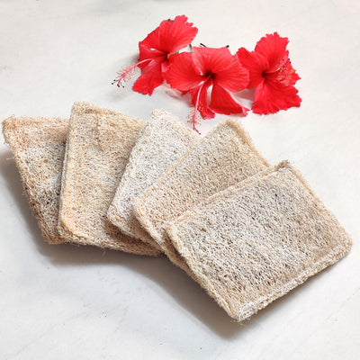 Natural Loofah Dish scrub pads | Pack of 4