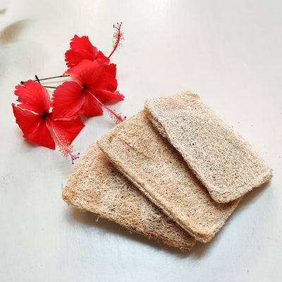 Natural Loofah Dish scrub pads | Pack of 4