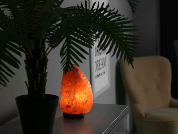 ONEarth Natural Rock Shape Himalayan Salt Lamp