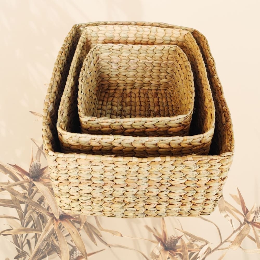 Set of 3 baskets - Water Reed (Kauna Grass)