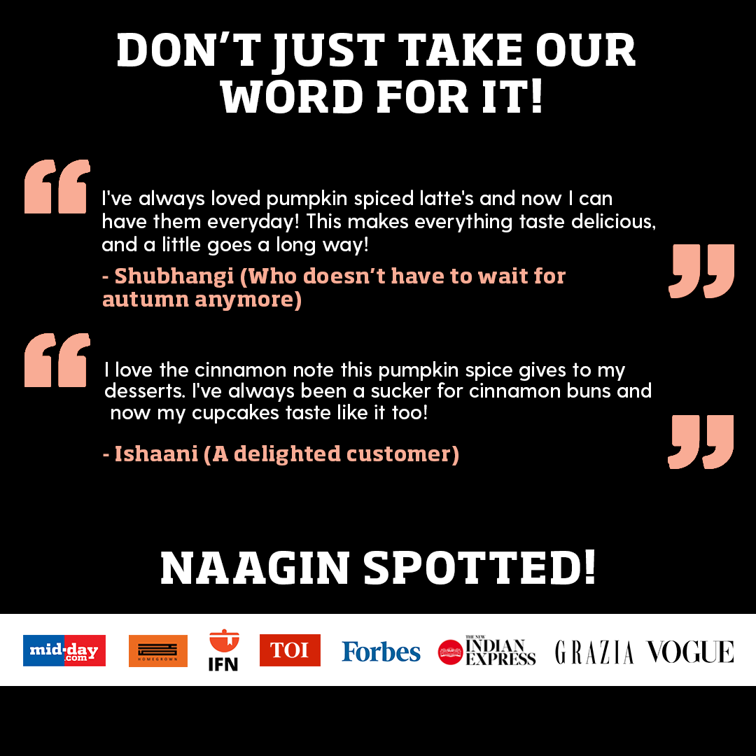 Naagin Sauce Indian Spice Essentials - Pumpkin Spice Mix (50gm)