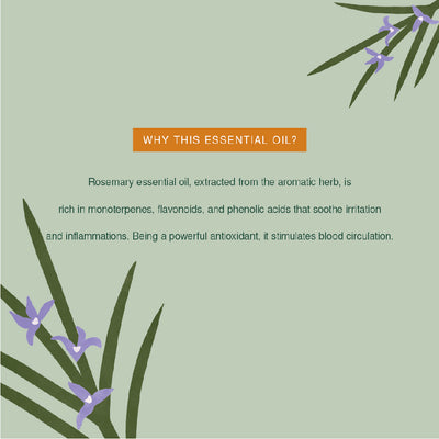 Organic Rosemary Essential Oil 10ml