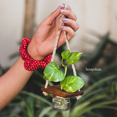 Scrapshala Mini Jar Hanging Planter | Multipurpose | Upcycled