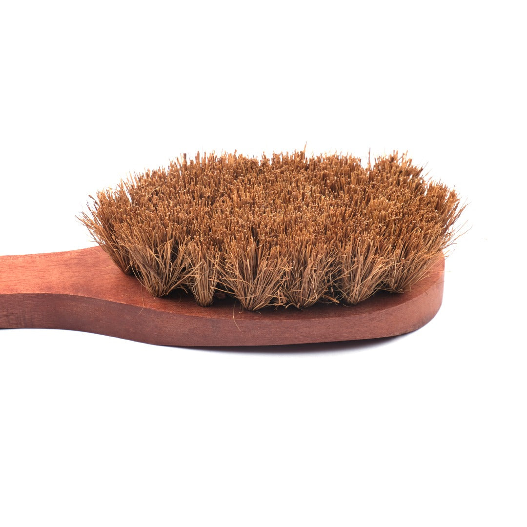 Coconut Coir Dry Body Brush | Sturdy | Biodegradable | Plastic-free