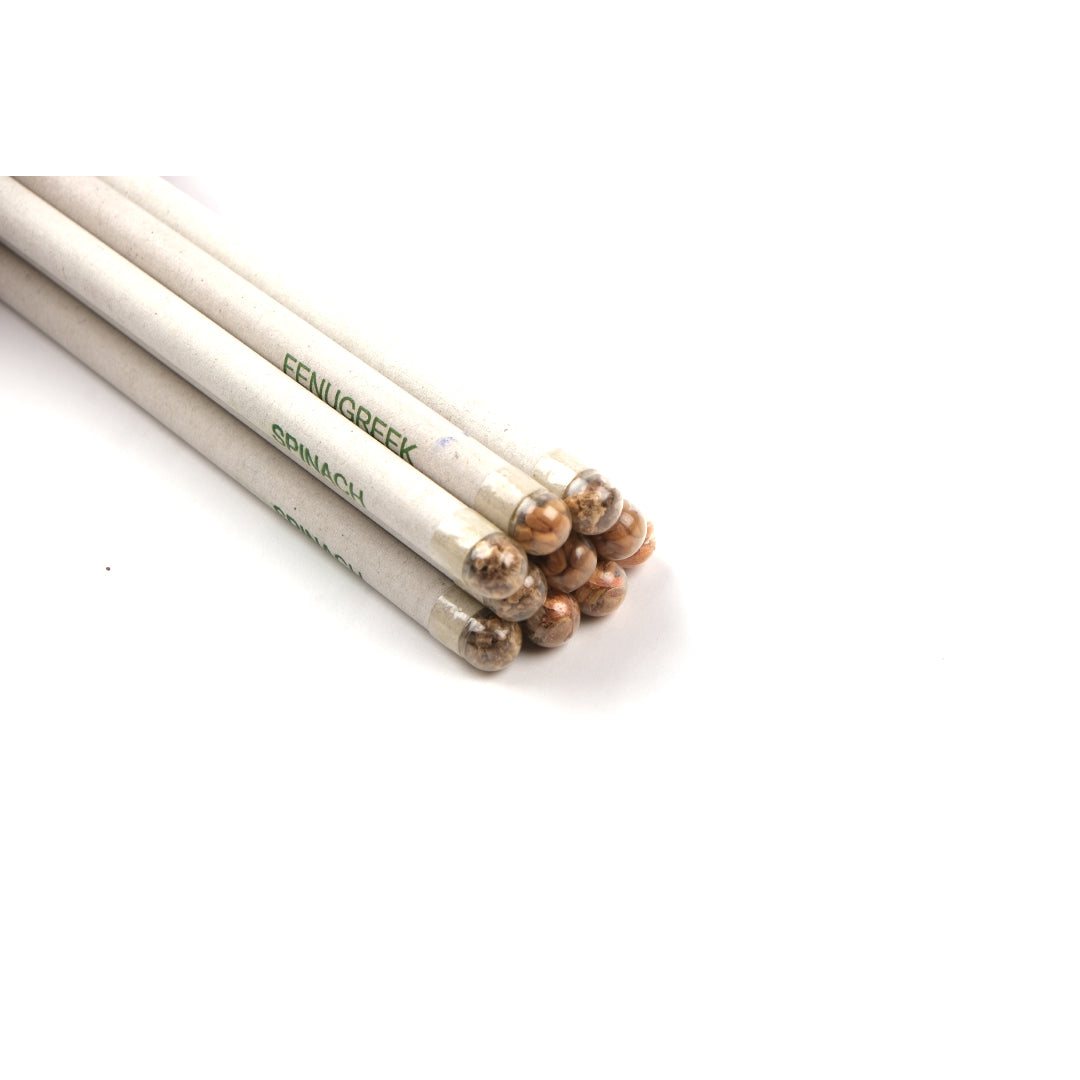 Plantable Pencil Pack | Set of 10 | 4 plantable seeds | Upcycled
