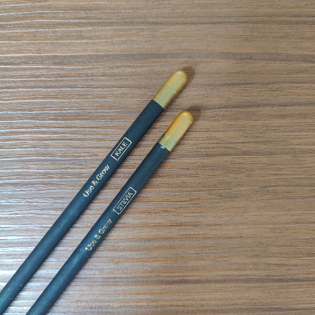 SOEL Plantable Seed Pencils | Set of 5