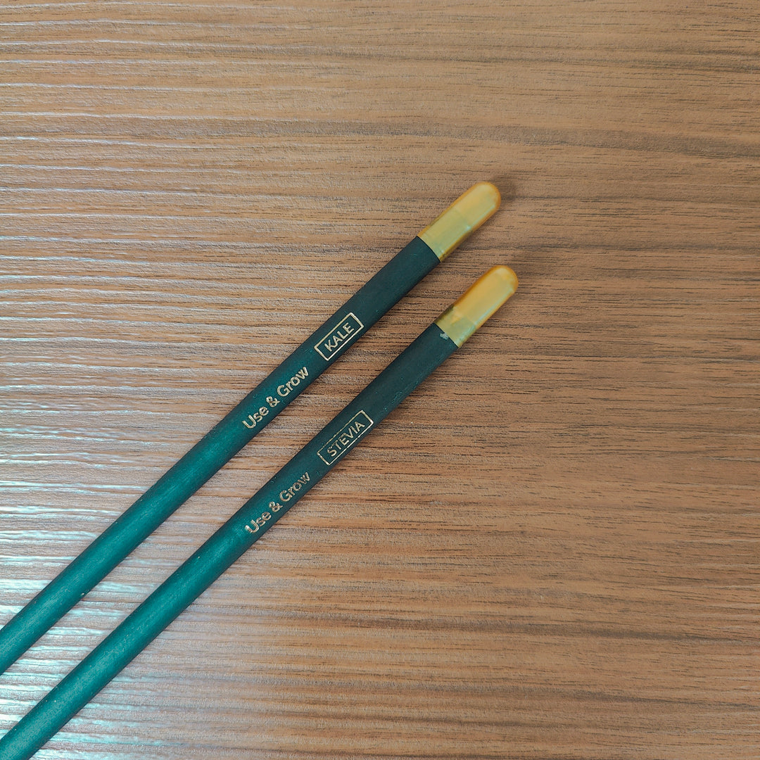 SOEL Plantable Seed Pencils | Set of 5