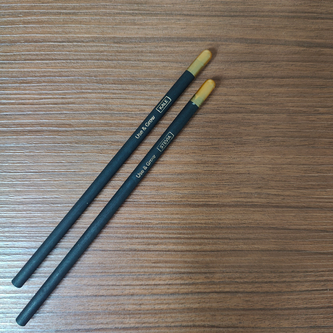 SOEL Plantable Seed Pencils | Set of 5