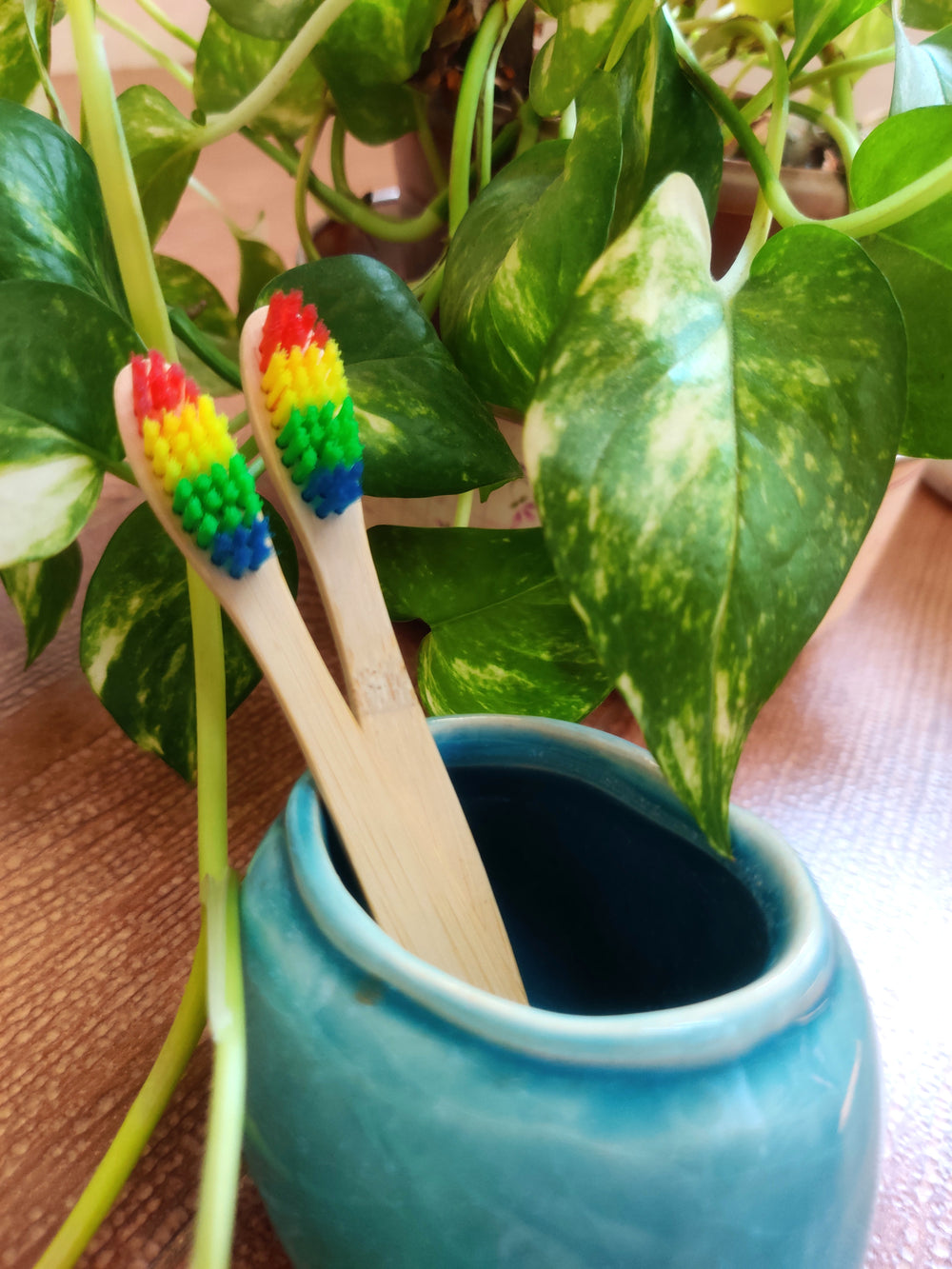 Greenfootprint Natural Bamboo Kids Toothbrush | Rainbow bristles | pack of 2