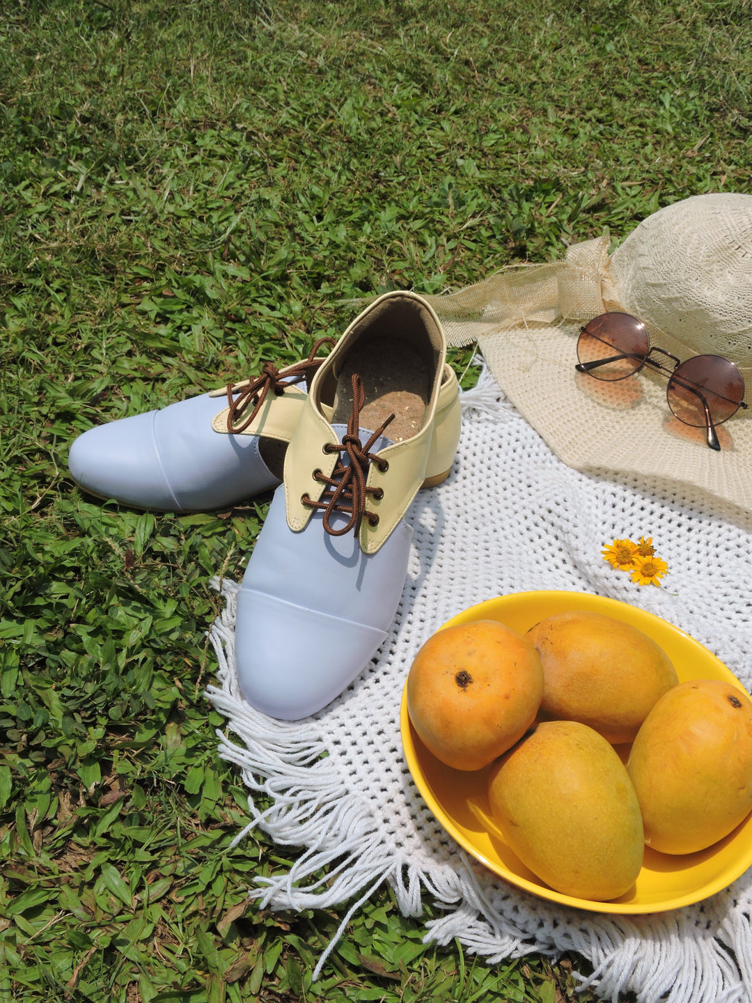 Aadhya Oxfords - Suspire