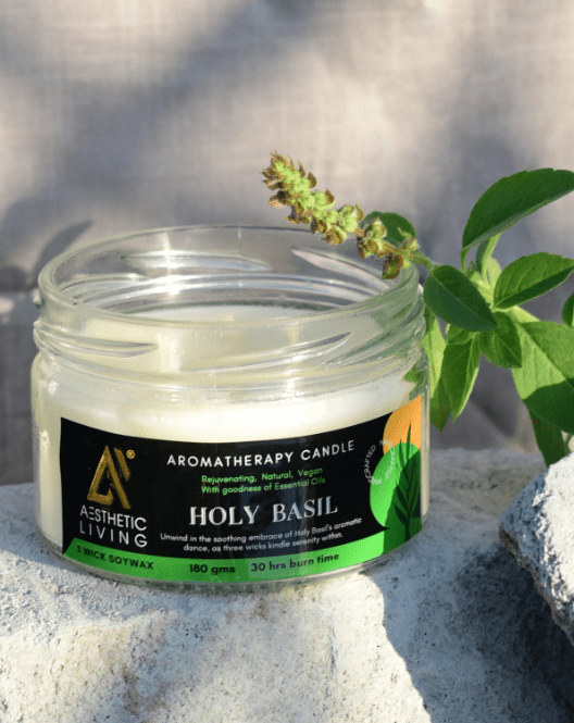 Aesthetic Living 3 wick Soywax Holy Basil Candle I 30 hr Burn, 180 gms - Suspire