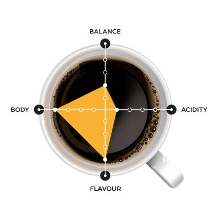 ARAKU Coffee - Medium Dark Roast Specialty Coffee - Selection - 250 g | Made with freshly roasted 100% Arabica Coffee beans