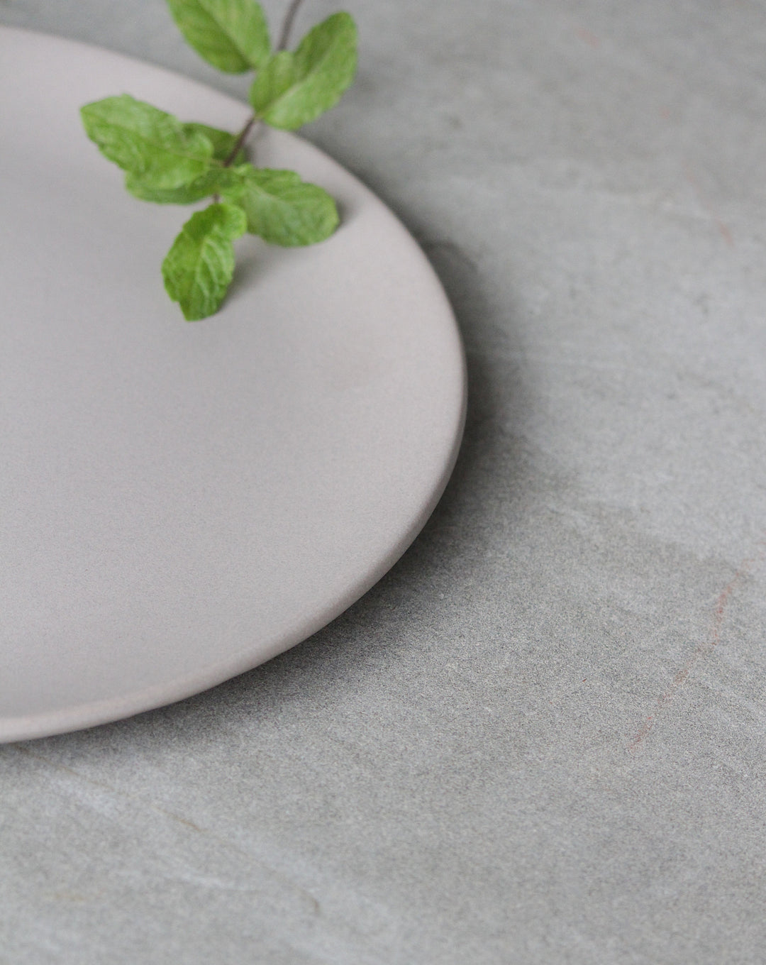 Basik Plate - Large - (Set of 2) - Suspire