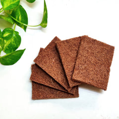 Greenfootprint Coconut coir dish scrub pads