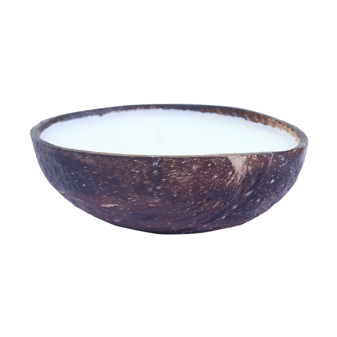 The Bare Bar Coconut Shell Candle | Soy Wax