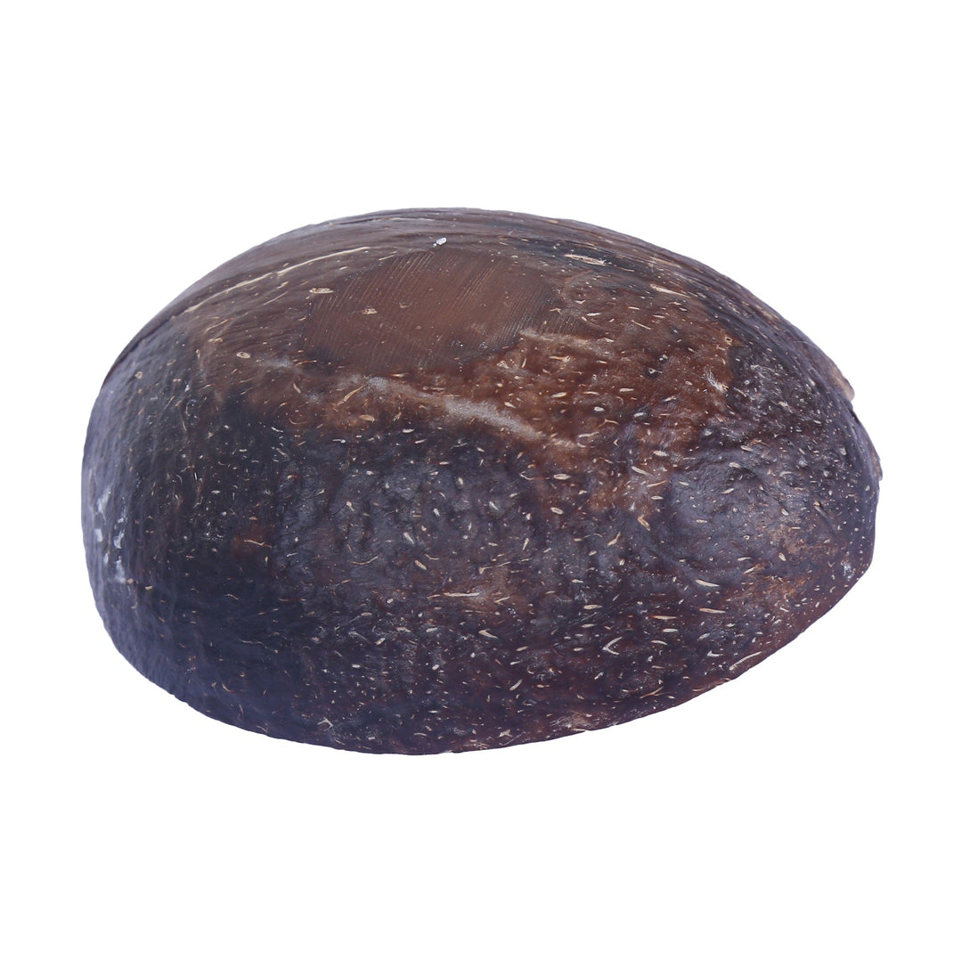 The Bare Bar Coconut Shell Candle | Soy Wax