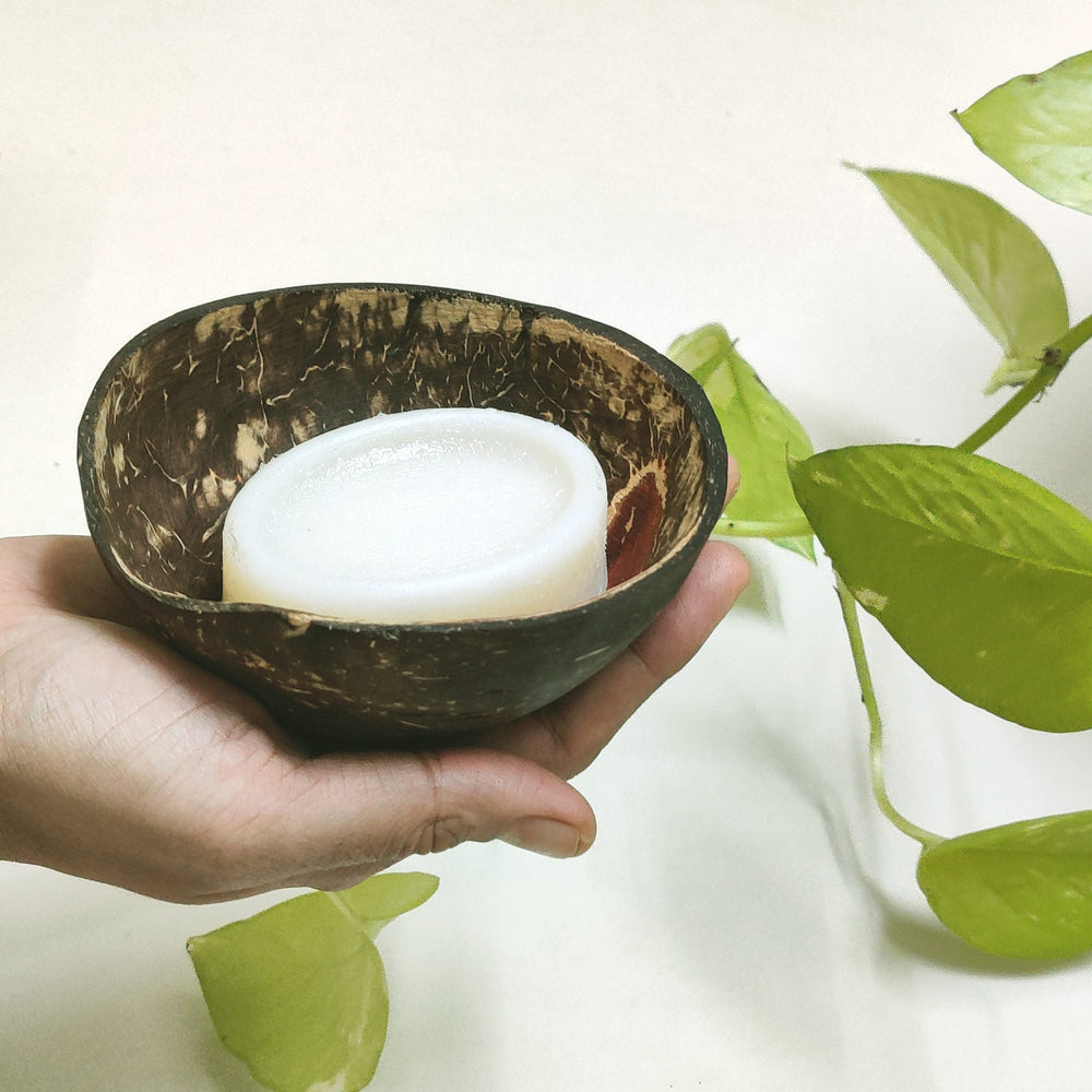 Greenfootprint Coconut Shell Soap Dish