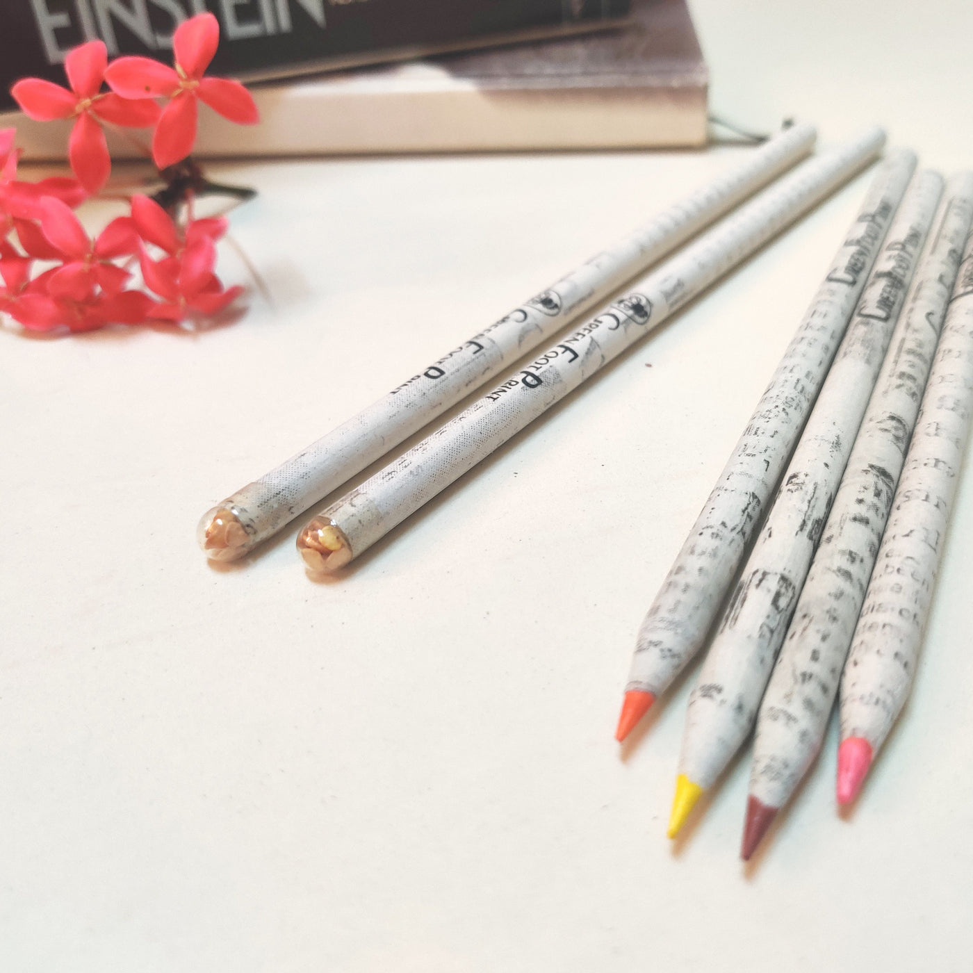 Combo-Recycled News paper Colour pencils and Plantable Seed pencils - Suspire