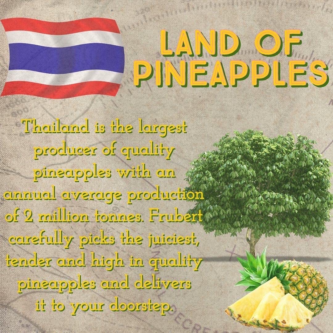 Dried Pineapple - Suspire