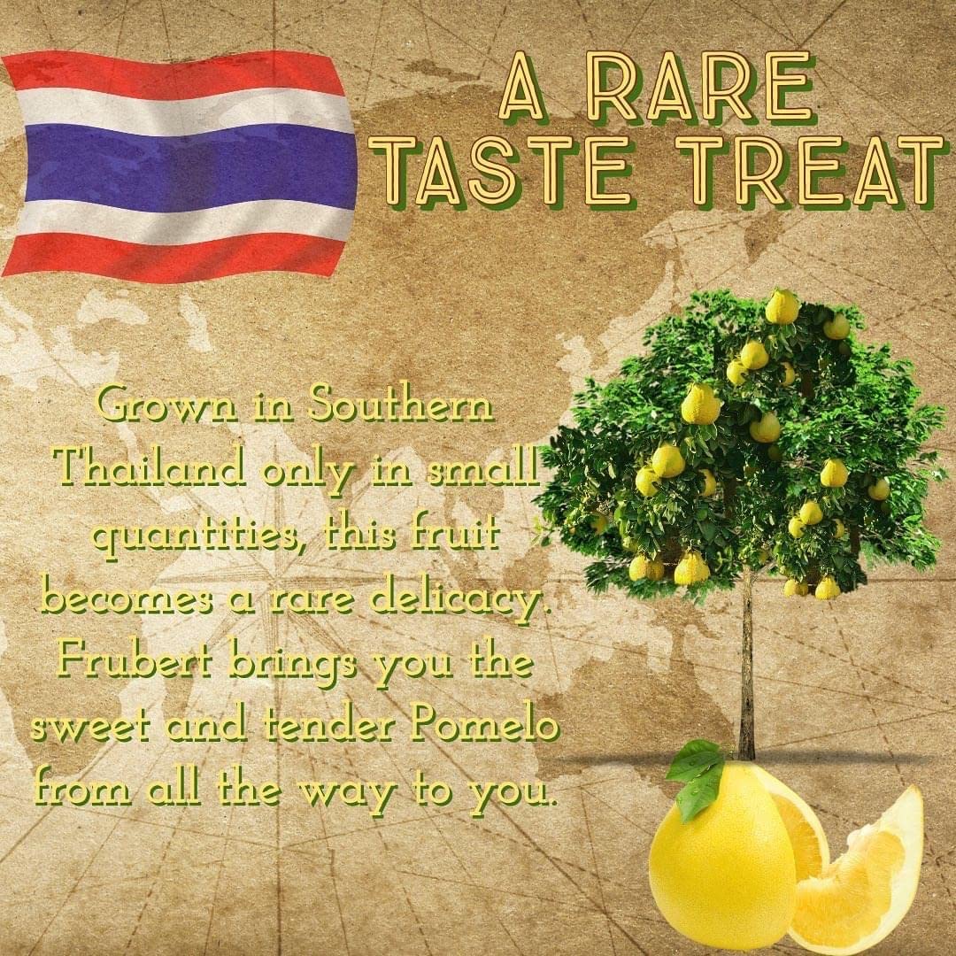 Dried Pomelo - Suspire