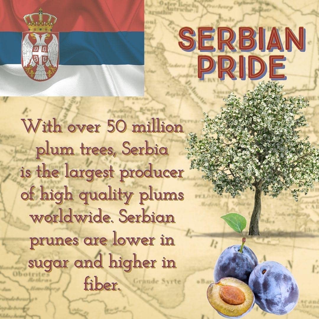 Dried Prunes - Suspire